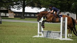 Jericho Call, MidAtlantic Horse Rescue, Christine McFadden, Thoroughbred Aftercare Alliance  